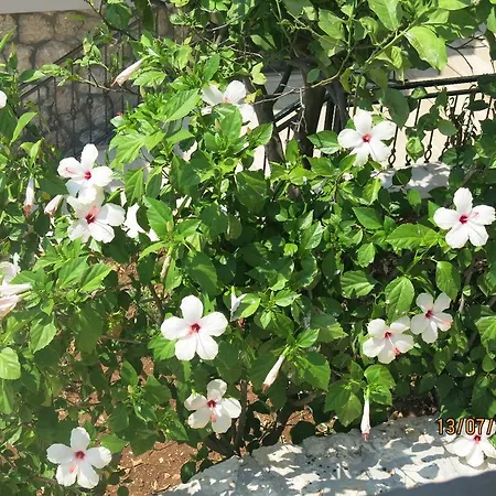 Kulube 2* Kalkan