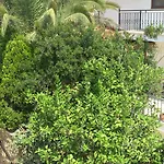 Kulube 3* Kalkan